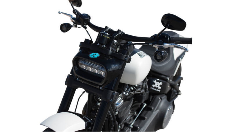 LEGEND SUSPENSION AXEO43  Inverted M8 Front Suspension 2018-2024 Softail