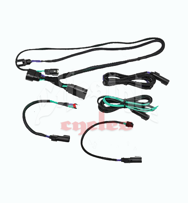 CICADA AUDIO 24HDRO 2024+ H-D® Rear Output Speaker Wire Harness