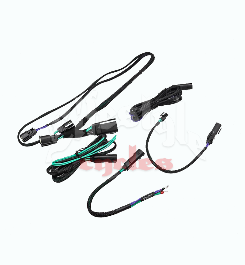 CICADA AUDIO 24HDRO 2024+ H-D® Rear Output Speaker Wire Harness