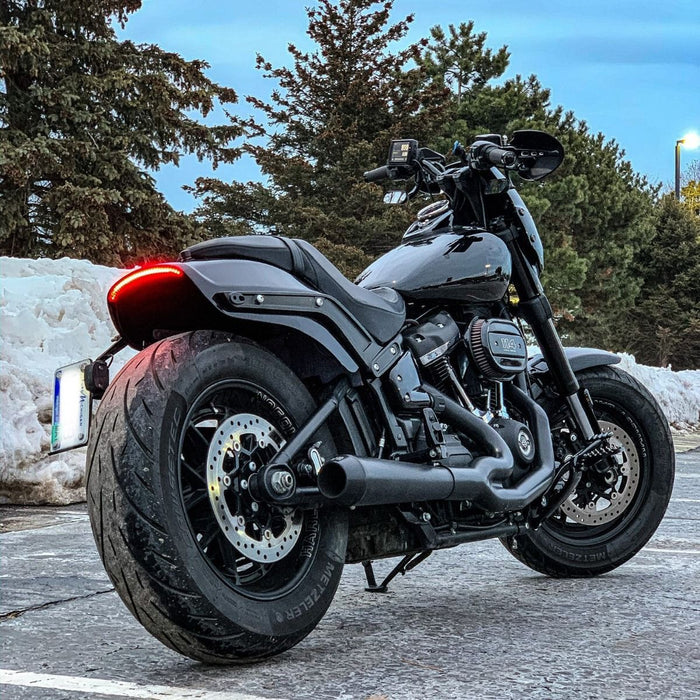 CUSTOM DYNAMICS LED Integrated Taillight with Turn Signals - Red