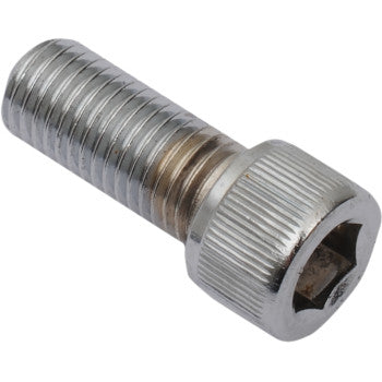 DRAG SPECIALTIES Bolts - Socket-Head - Fine Thread - 5/16-24 - 10-Pack