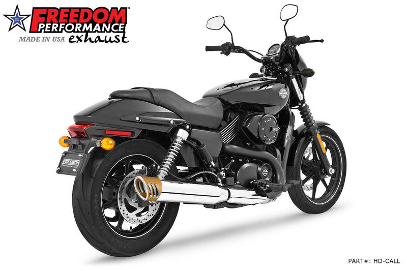 FREEDOM EXHAUST -  STREET SINGLE 4" SLIPONS