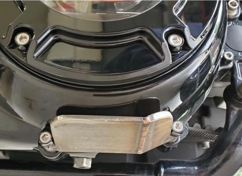 Santoro / Lone Star Not Yo Daddy's Primary Skid Plate