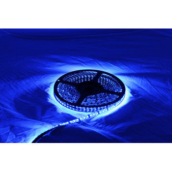 CUSTOM DYNAMICS LED Reel - Blue