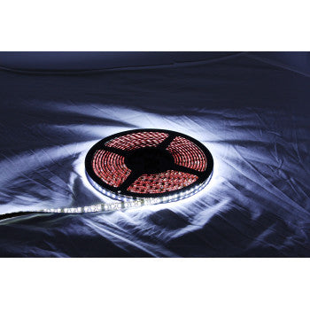 CUSTOM DYNAMICS LED Reel - Cool White