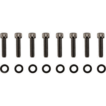 DRAG SPECIALTIES Bolt Kit - Transmission Bearing Housing - Knurled/Socket-Head - Black/Chrome - FL / FX '17-'21