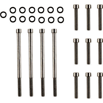 DRAG SPECIALTIES Bolt Kit - Outer Primary - Smooth/Socket-Head - Black/Chrome - FL / FX '17-'21