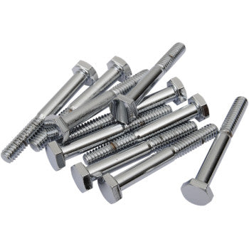 DRAG SPECIALTIES Replacement Hex-Head Bolt - Chrome - 1/4"-20 x 1-3/4" - 10-Pack