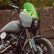 Harley Davidson T-Sport Fairing Billiard Gray