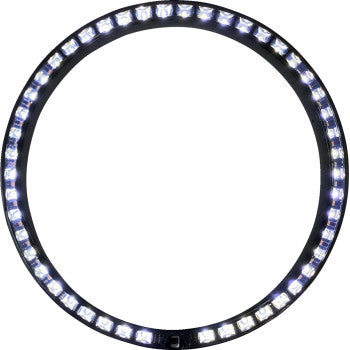 CUSTOM DYNAMICS ProBEAM® Headlight Turn Signal Ring Trim - Standard - Amber / White