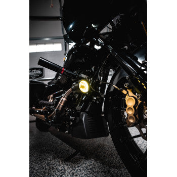 CUSTOM DYNAMICS ProBEAM® LED Halo Fog Lights - Black - Yellow Lens