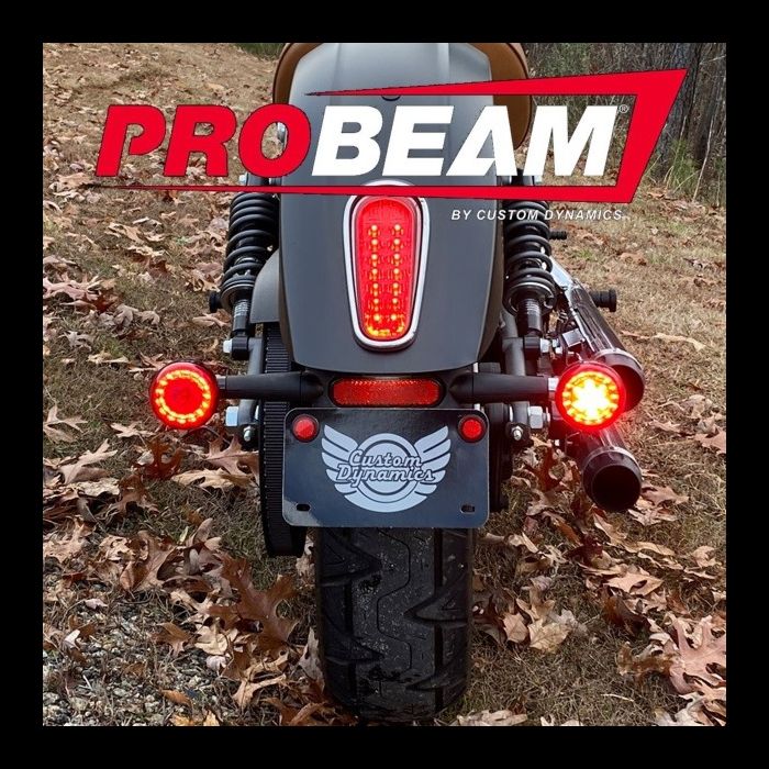 CUSTOM DYNAMICS Rear LED Tun Signal Ringz - Smoke - Scout