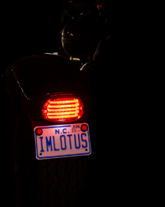 CUSTOM DYNAMICS ProBEAM® Squareback LED Taillight Kit - Top Window - Red