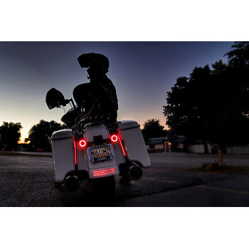 CUSTOM DYNAMICS Plug & Play Red Plasma Rods™ - 8" - Smoke Lens