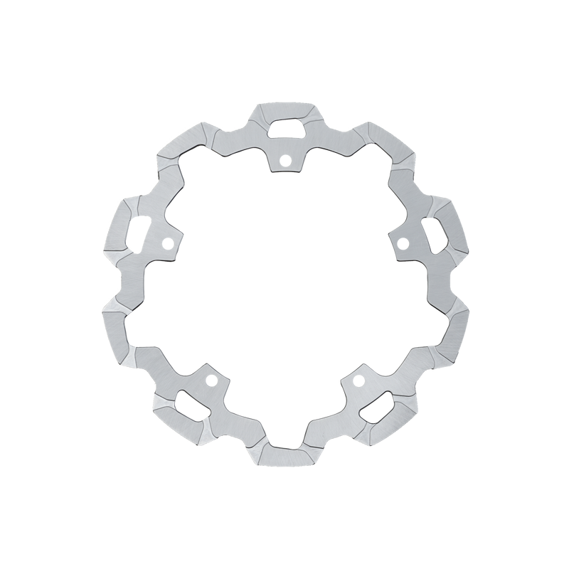 Pan America One Piece Rear Rotor