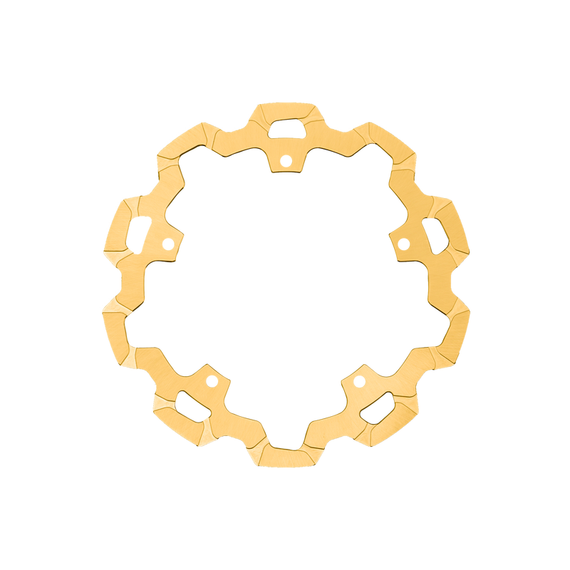 Pan America One Piece Rear Rotor