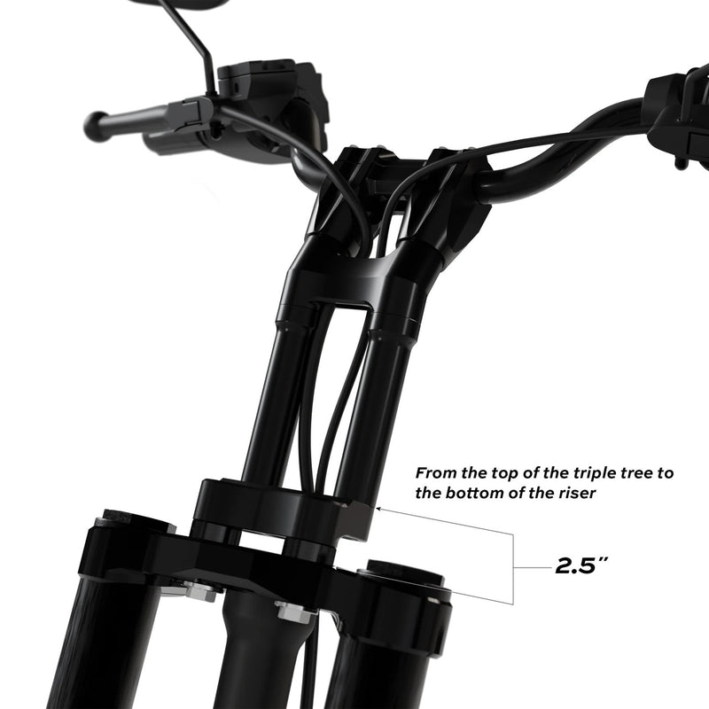 KRAUS MOTO Raptor 1-1/2 in. Pull Back Plate - Black Anodized - Softail '18-'25