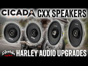 Cicada Audio CXX Speakers Video